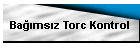 Bamsz Torc Kontrol